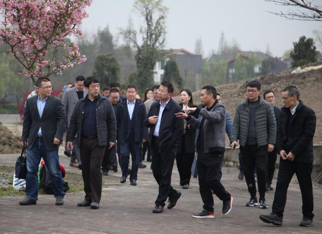 集团辅导赴街子项目地调研领导工作