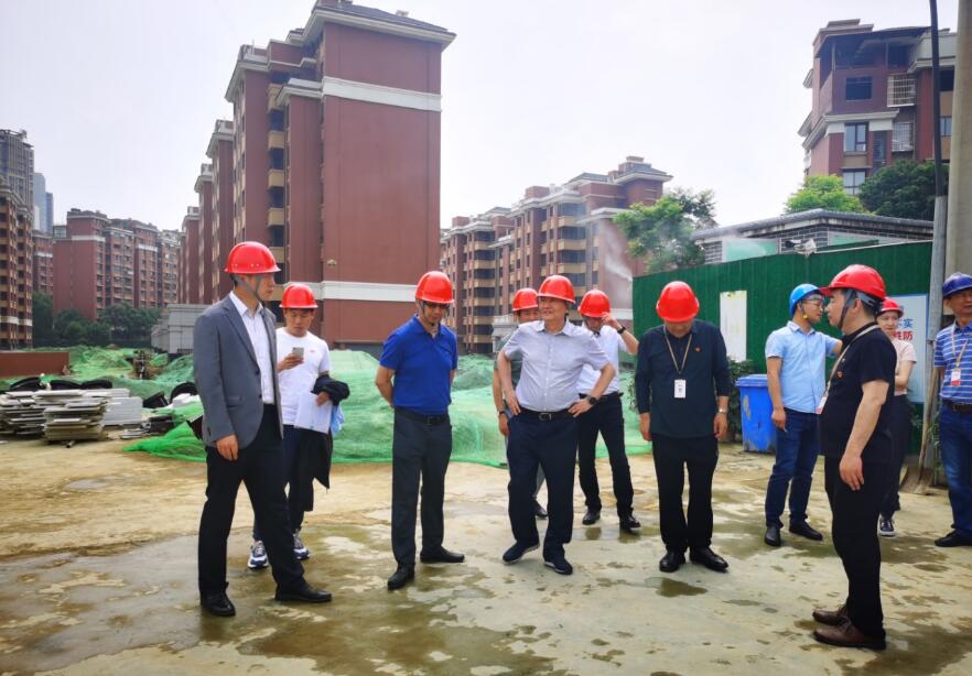 J9集团集团经营提升年专责工作组 发展系列项目督导