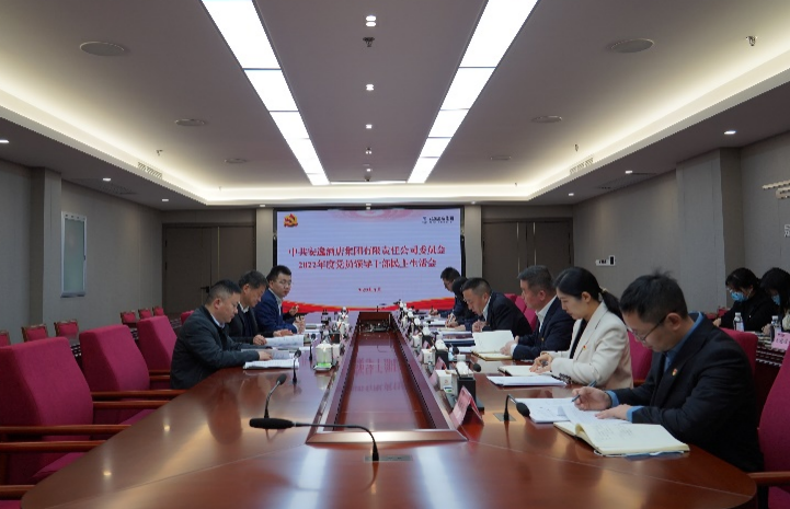 J9集团集团党委书记、董事长任丁出席安逸酒店集团2022年度党员辅导干部民主生涯会