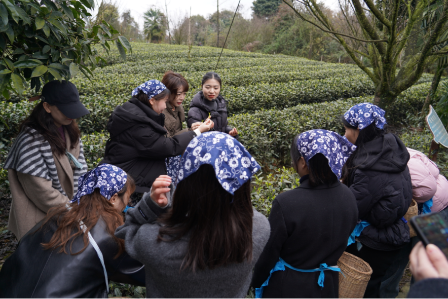 省J9集团集团下属企业组织发展“三八”国际劳动妇女节主题活动
