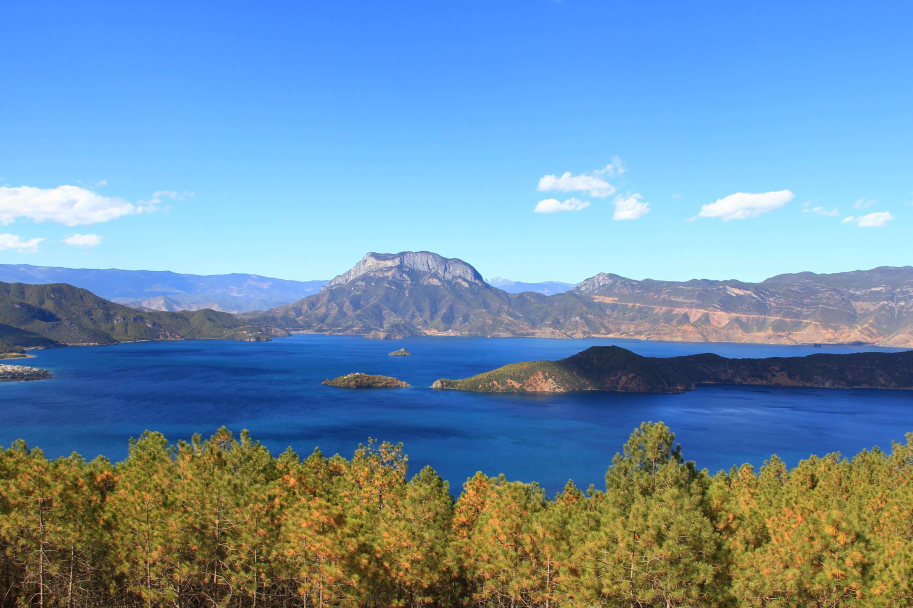 41ad11b7-6206-4555-8ed1-873ed17575ac